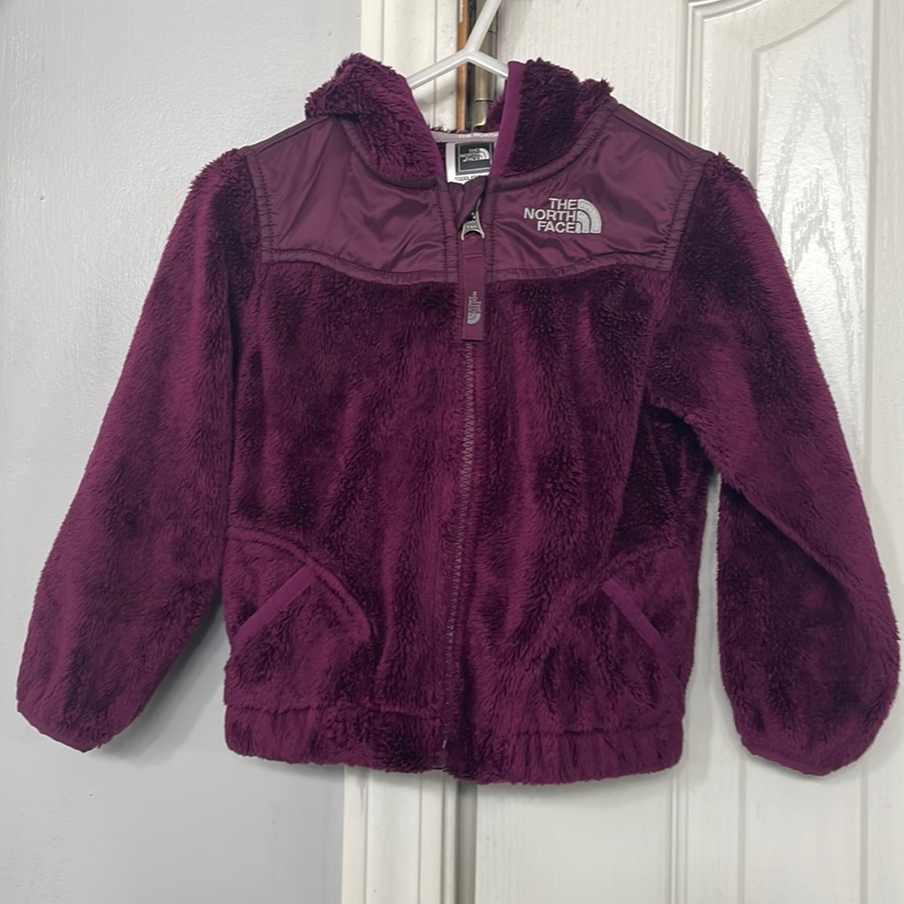 Toddler NorthFace Fleece Jacket w/ Hood